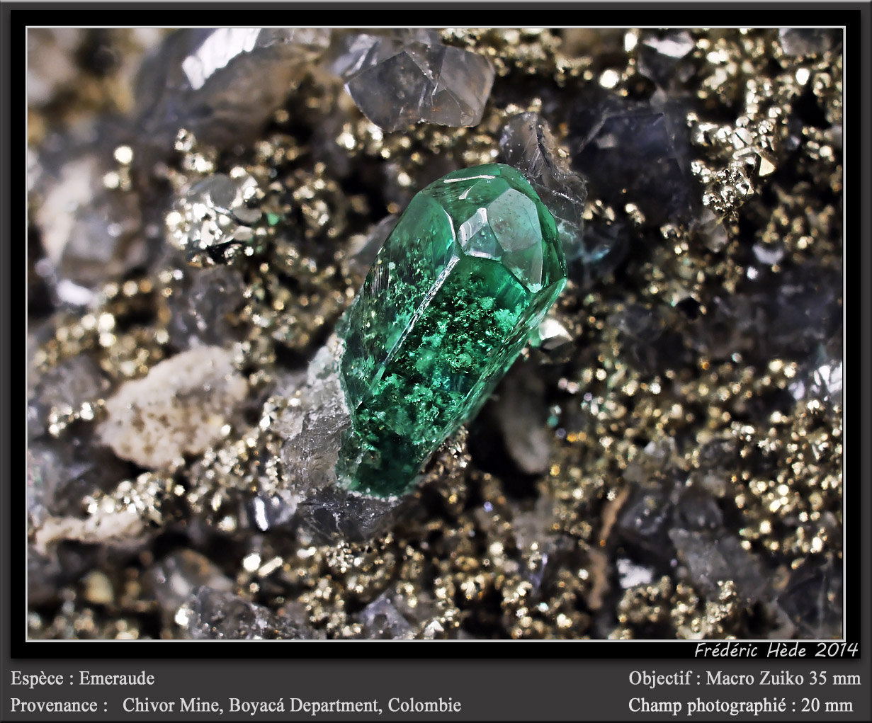 Beryl (variety emerald)
fov 20 mm
(Autor: ploum)