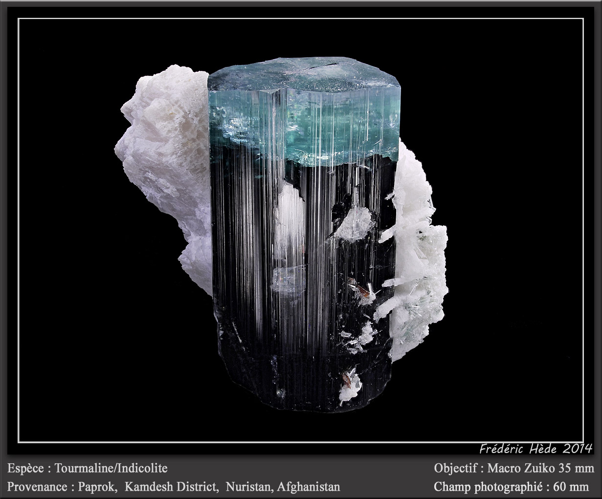 Elbaite var. indicolite (Tourmaline Group)
fov 60 mm
(Autor: ploum)