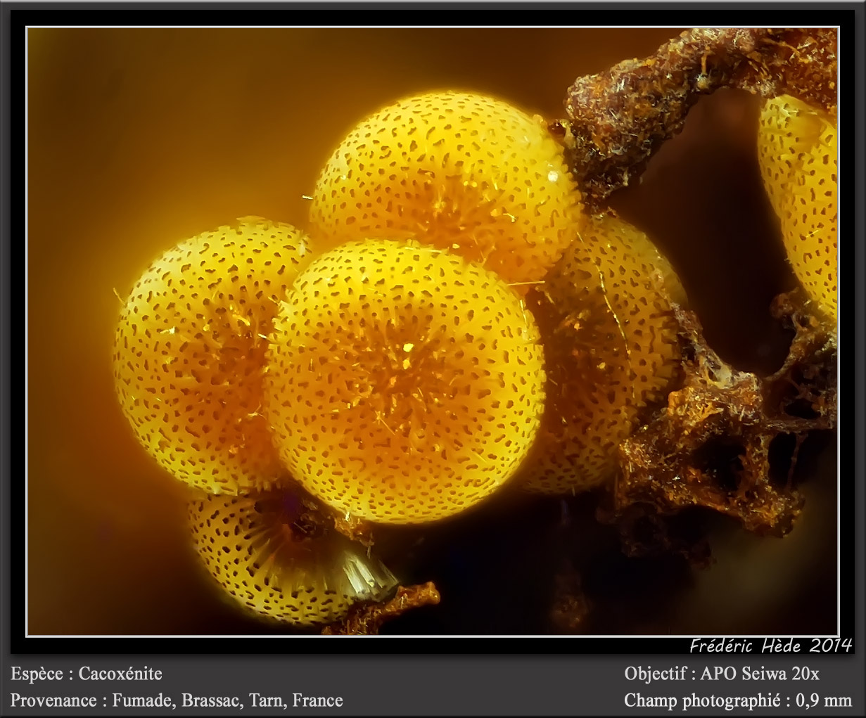 Cacoxenite
fov 0.9 mm
(Autor: ploum)