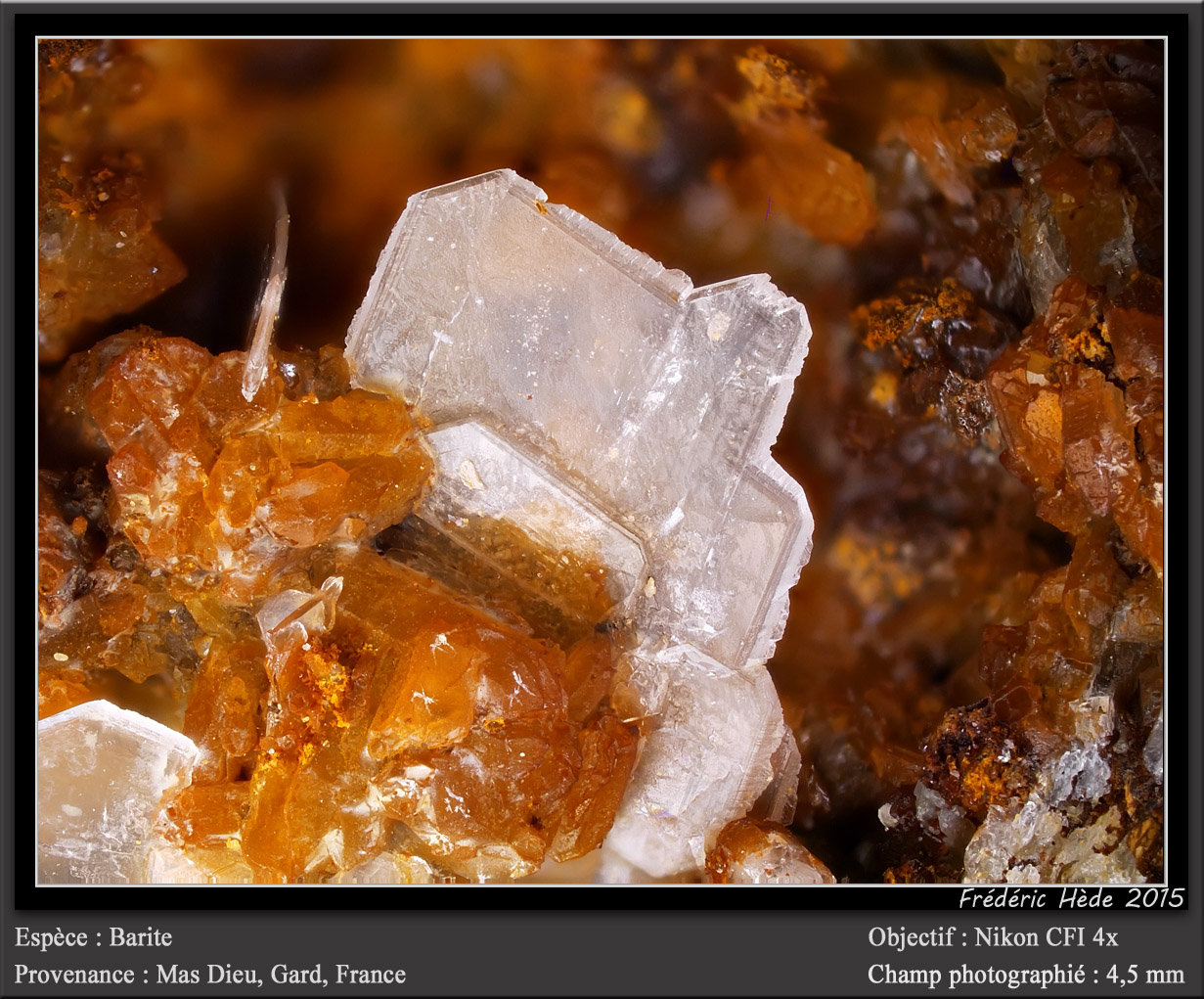 Barite
fov4.5 mm
(Autor: ploum)