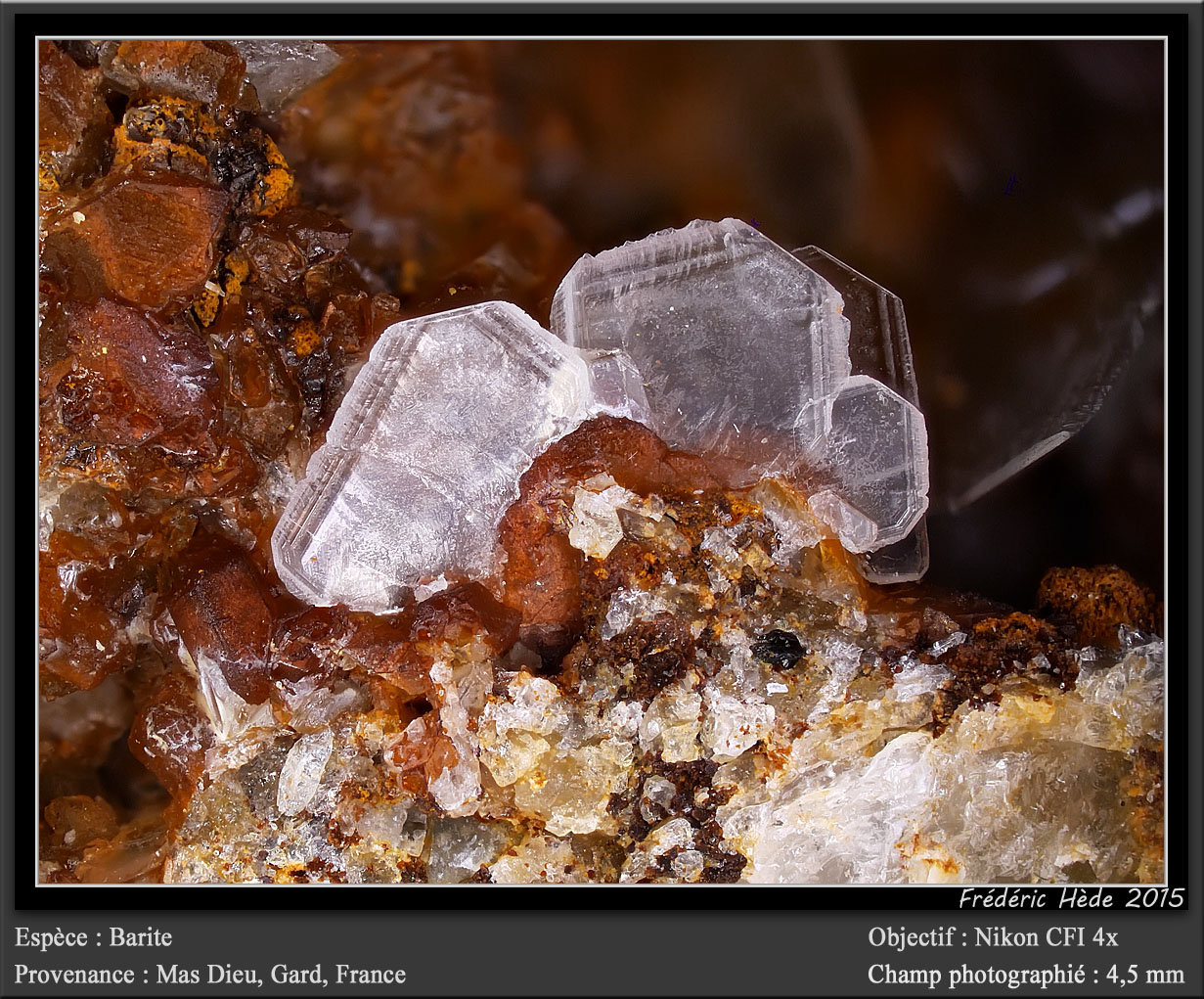 Barite
fov 4.5 mm
(Autor: ploum)
