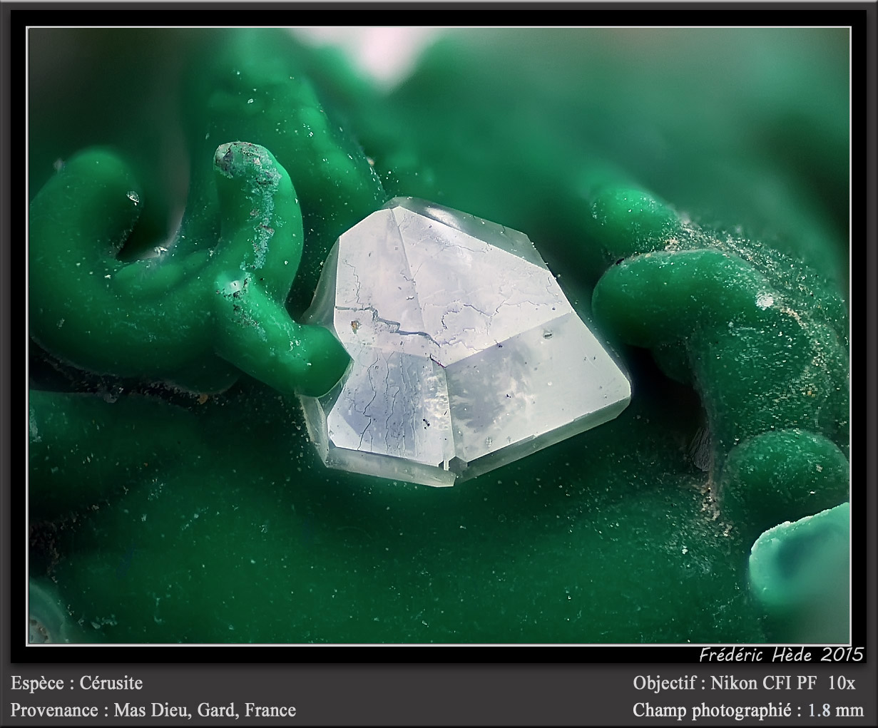 Cerussite on Malachite
fov 1.8 mm
(Autor: ploum)