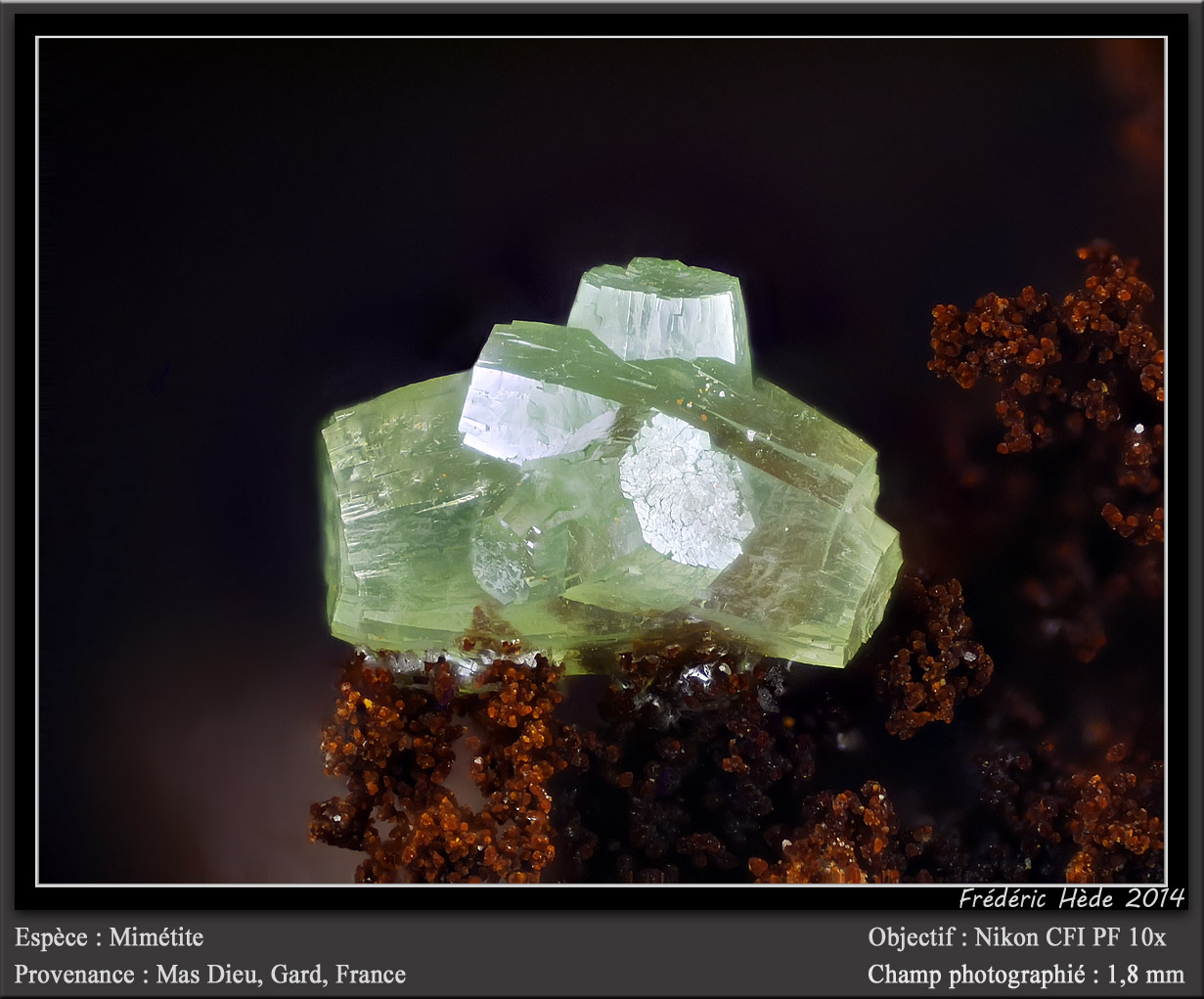 Pyromorphite
fov 1.8 mm
(Autor: ploum)