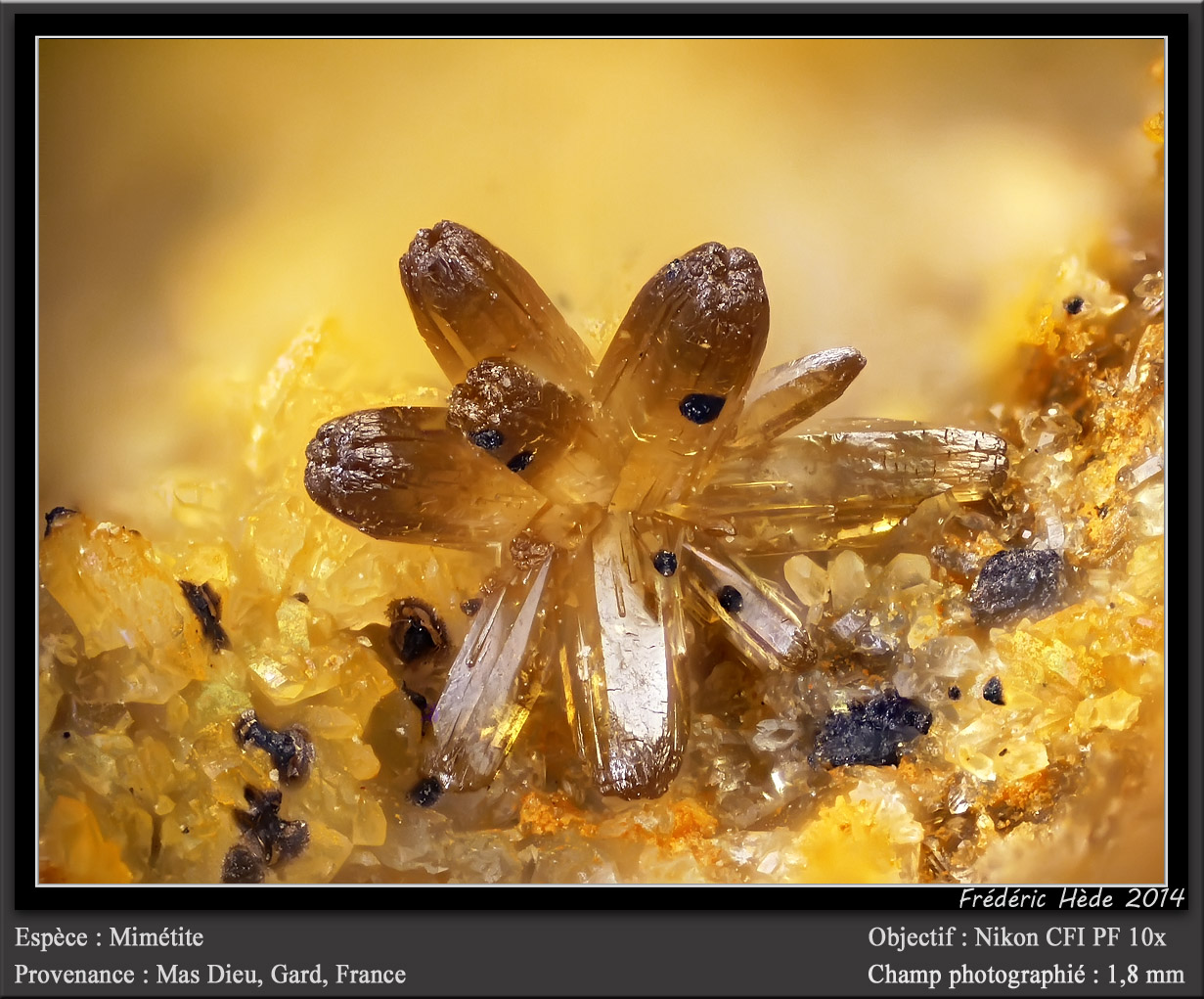 Mimetite
fov 1.8 mm
(Autor: ploum)