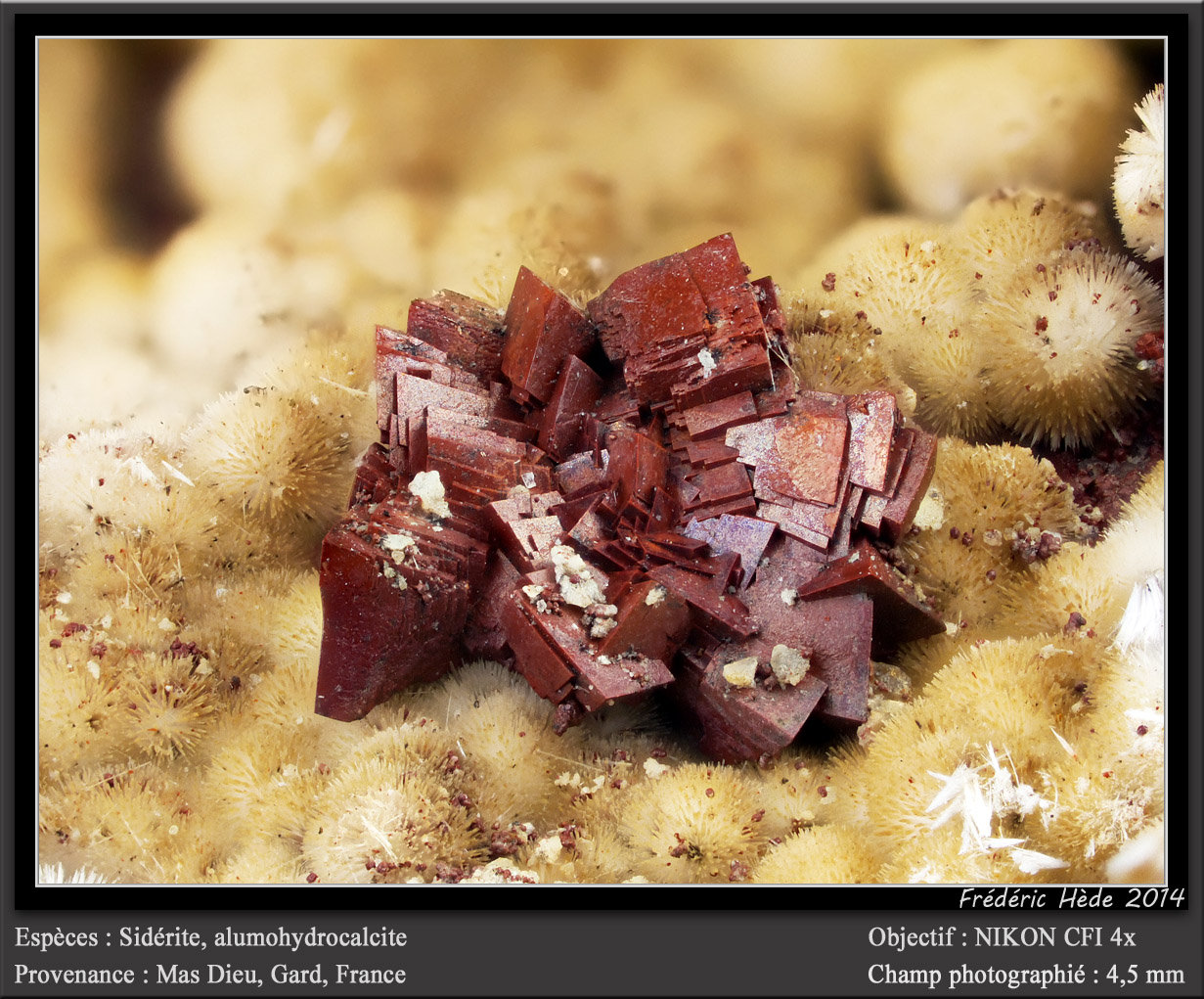 Siderite, Alumohydrocalcite
fov 4.5 mm
(Autor: ploum)