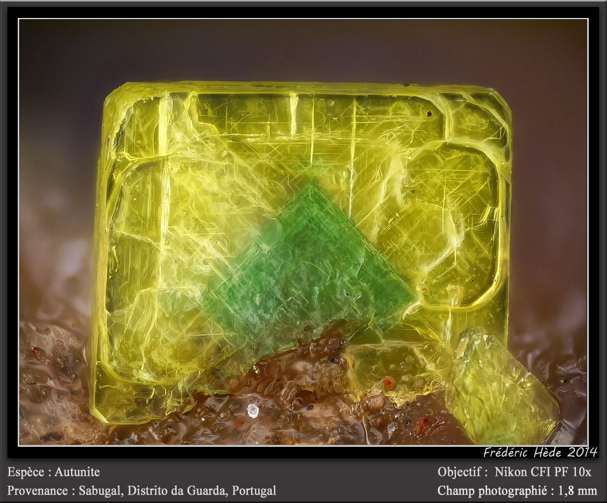 Autunite
fov 1.8 mm
(Autor: ploum)