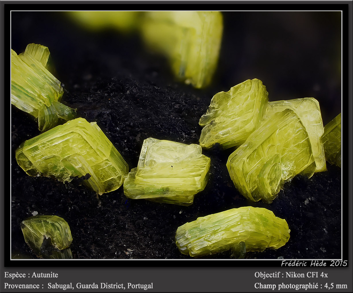 Autunite
fov 4.5 mm
(Autor: ploum)