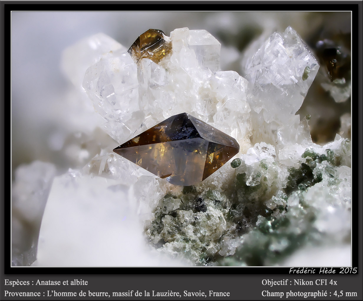Anatase, albite
fov 4.5 mm
(Autor: ploum)