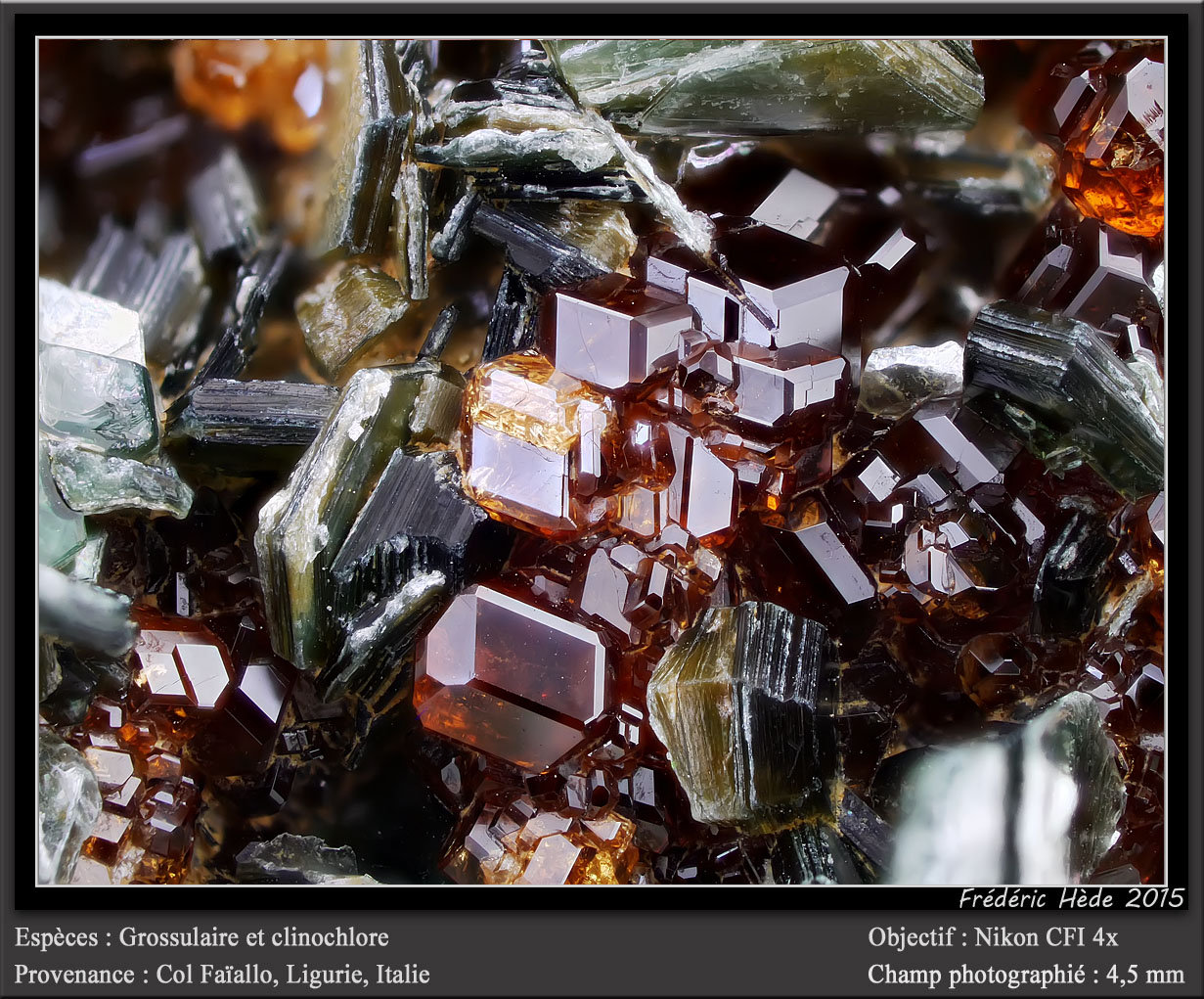 Grossular, clinochlor
fov 4.5 mm
(Autor: ploum)