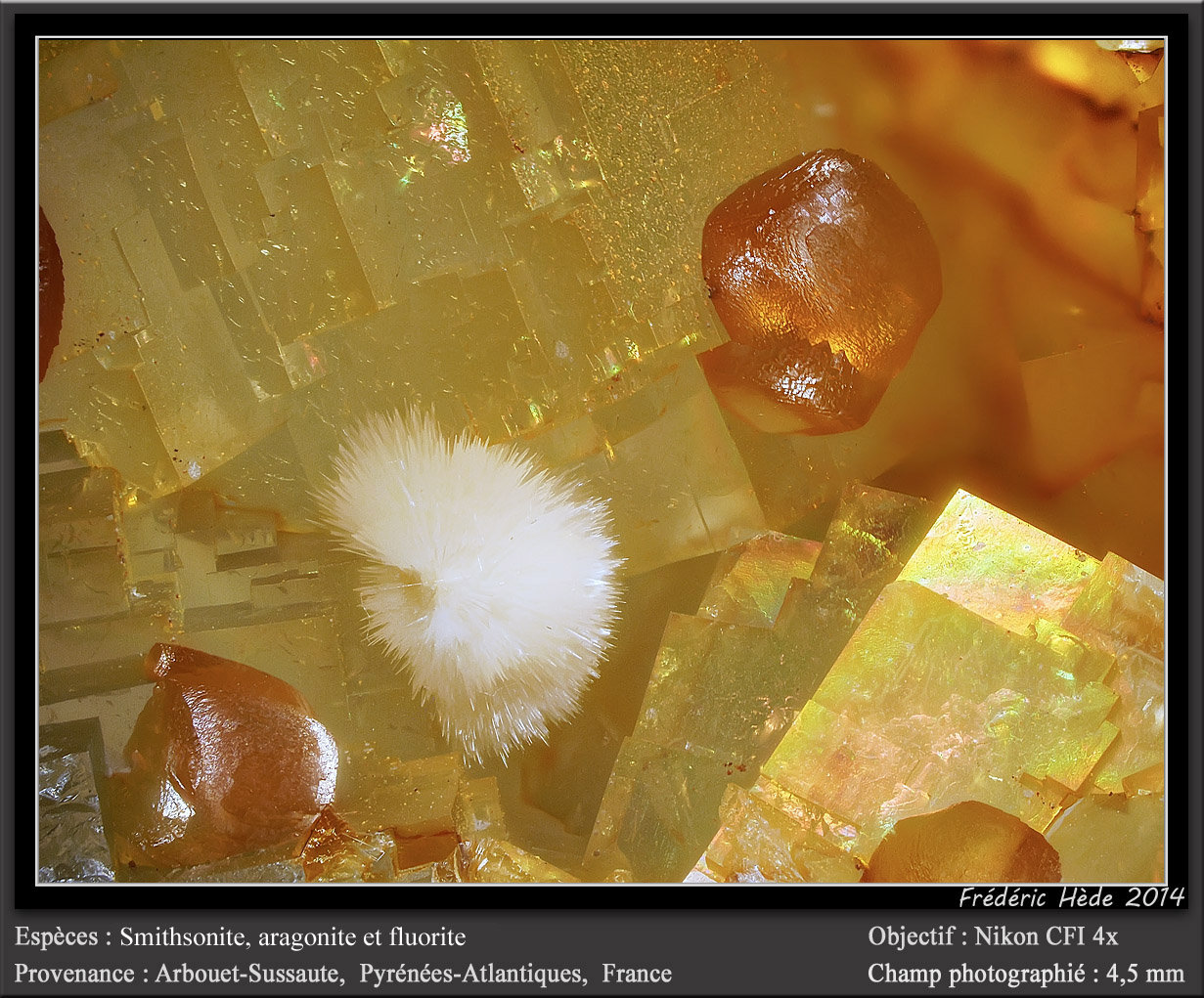 Smithsonite, Aragonite, Fluorite
fov 4.5 mm
(Autor: ploum)