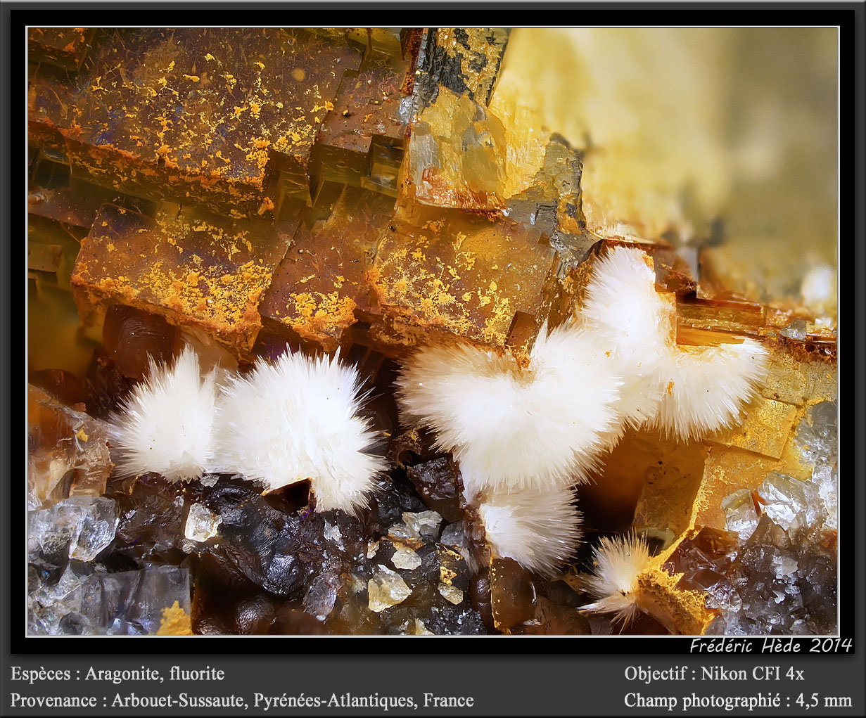 Aragonite, Fluorite
fov 4.5 mm
(Autor: ploum)