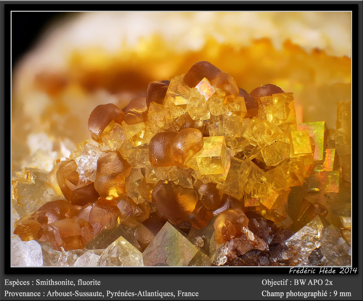 Smithsonite, Fluorite
fov 9 mm
(Autor: ploum)