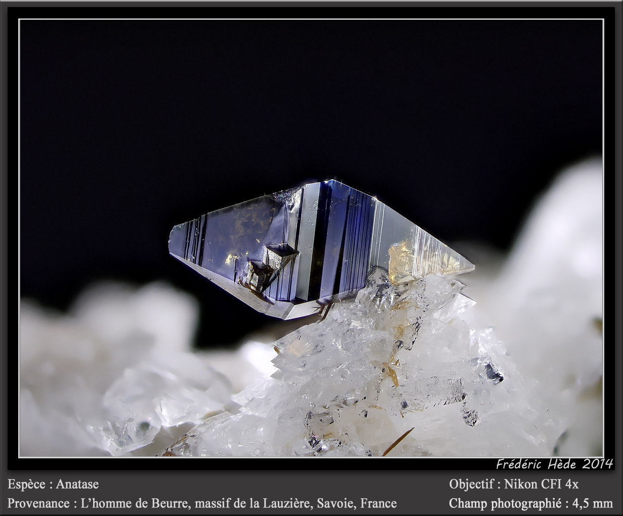 Anatase
fov 4 mm
(Autor: ploum)