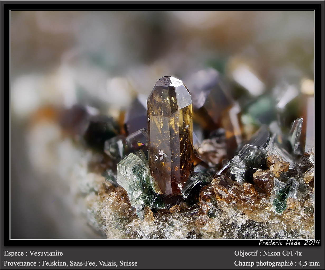Vesuvianite and Clinochlore
fov 4,5 mm
(Autor: ploum)