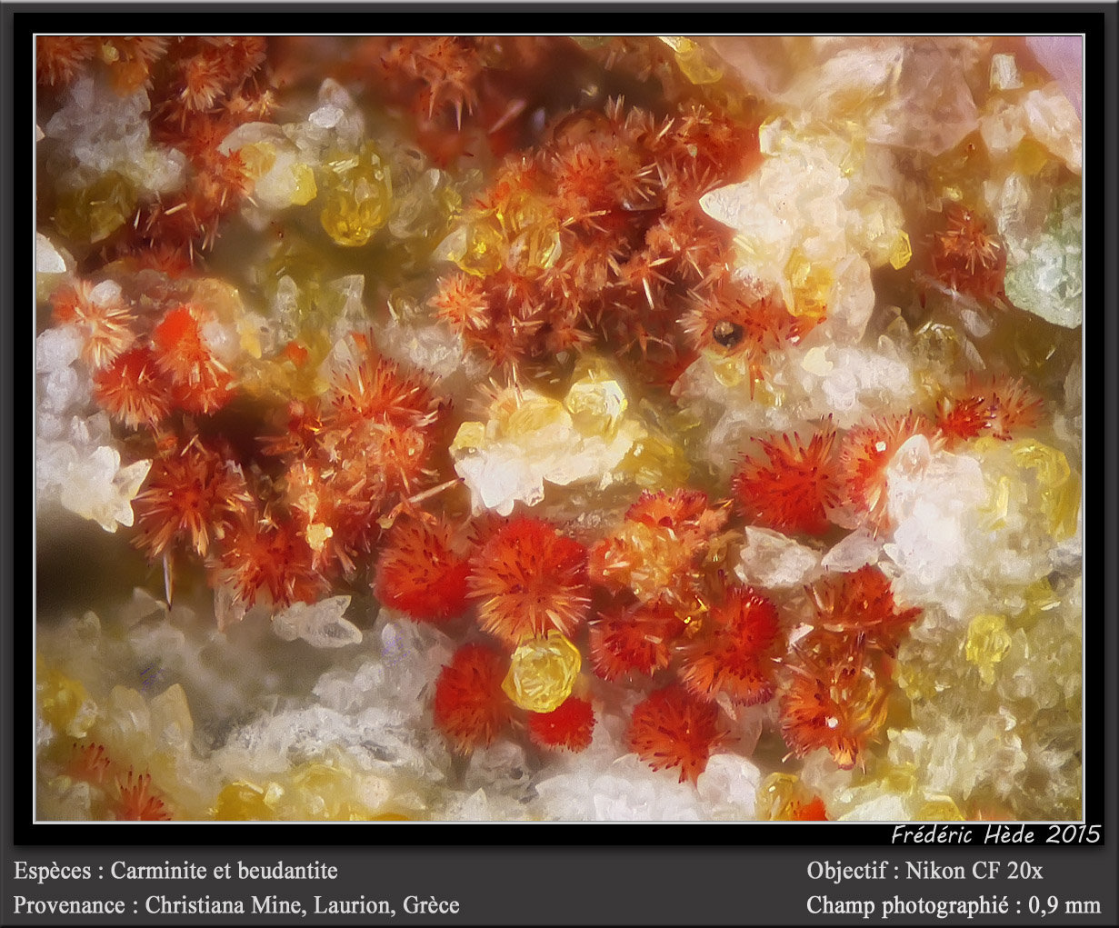 Carminite and beudantite
fov 0.9 mm
(Autor: ploum)