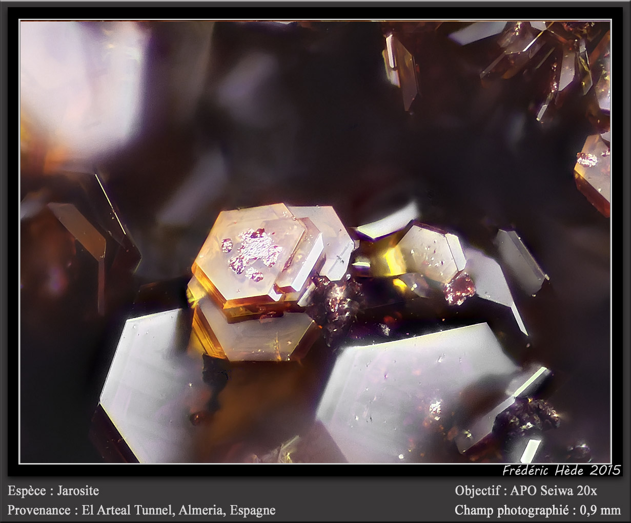 Jarosite
fov 0.9 mm
(Autor: ploum)
