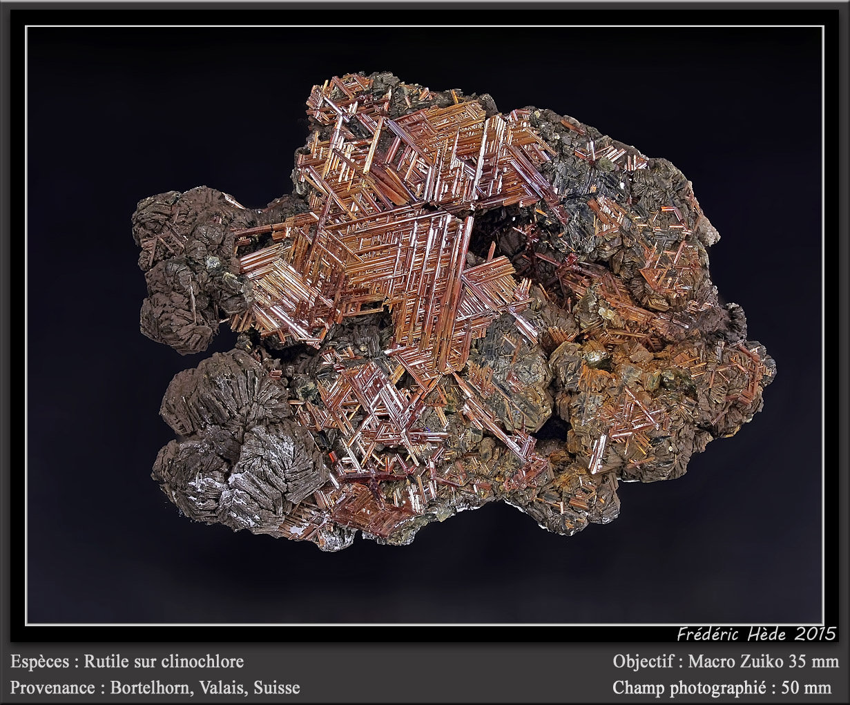 Rutile on clinochlore
fov 50 mm
(Autor: ploum)