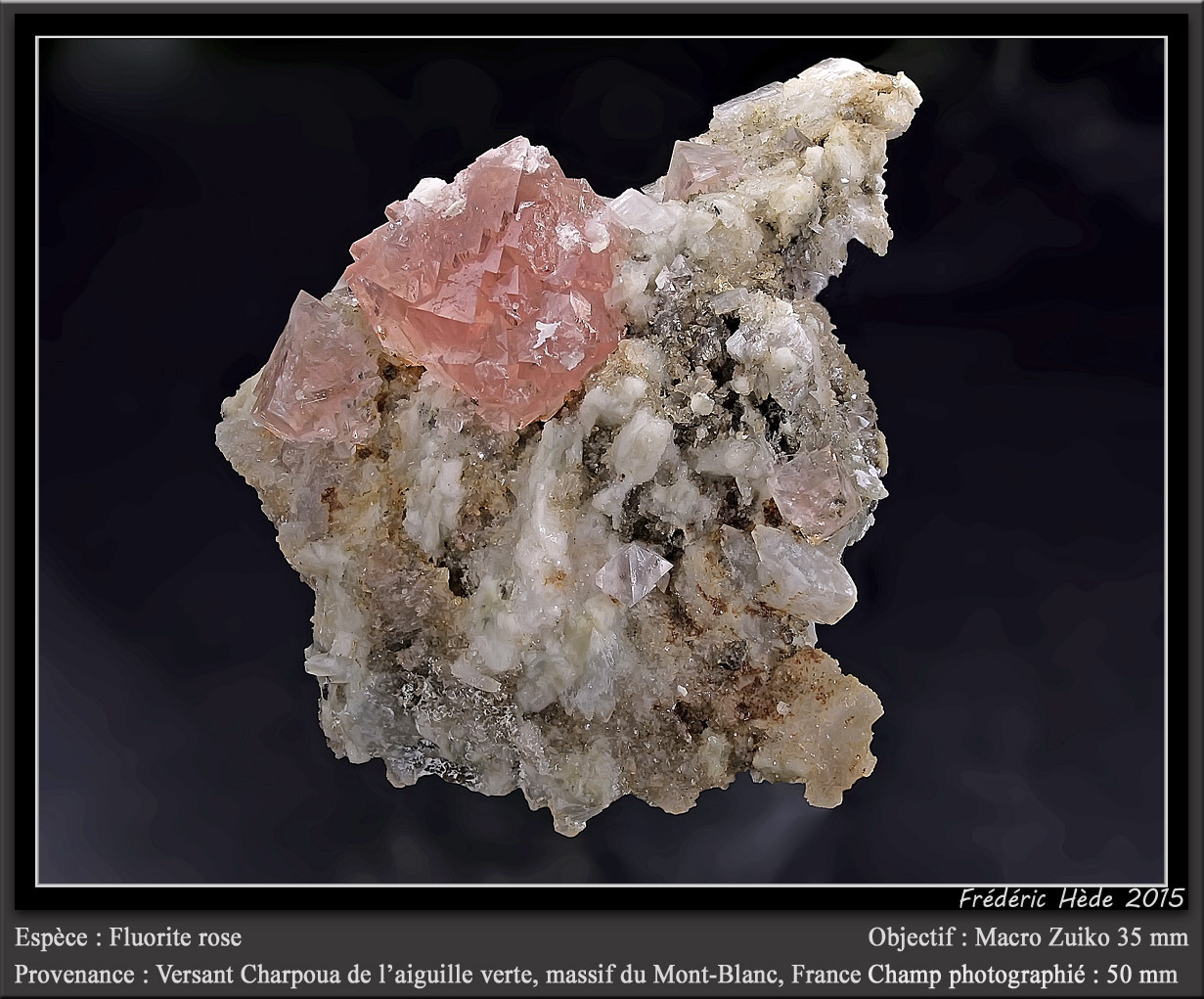 Fluorite on albite
fov 50 mm
(Autor: ploum)