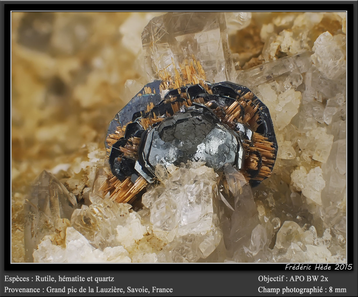 Hematite and Ruti<br />{LOCALITAT}