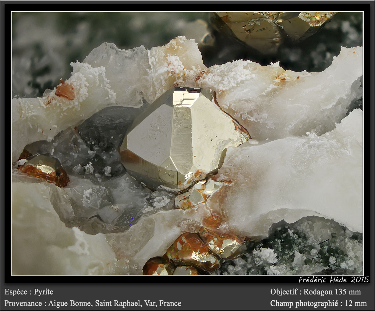 Pyrite on Calcite
fov 12 mm
(Autor: ploum)