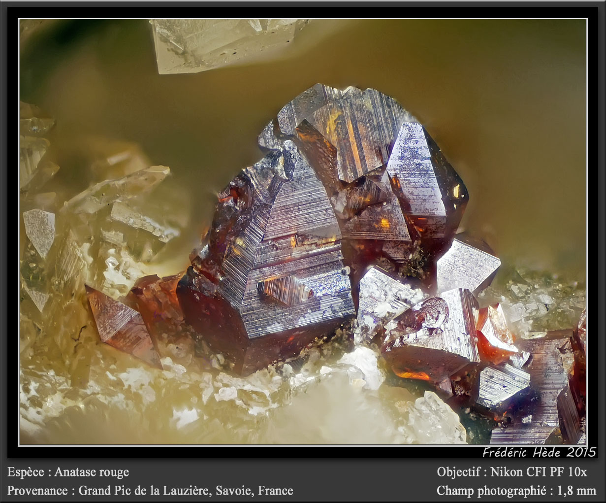 Anatase<br />{LOCALITAT}