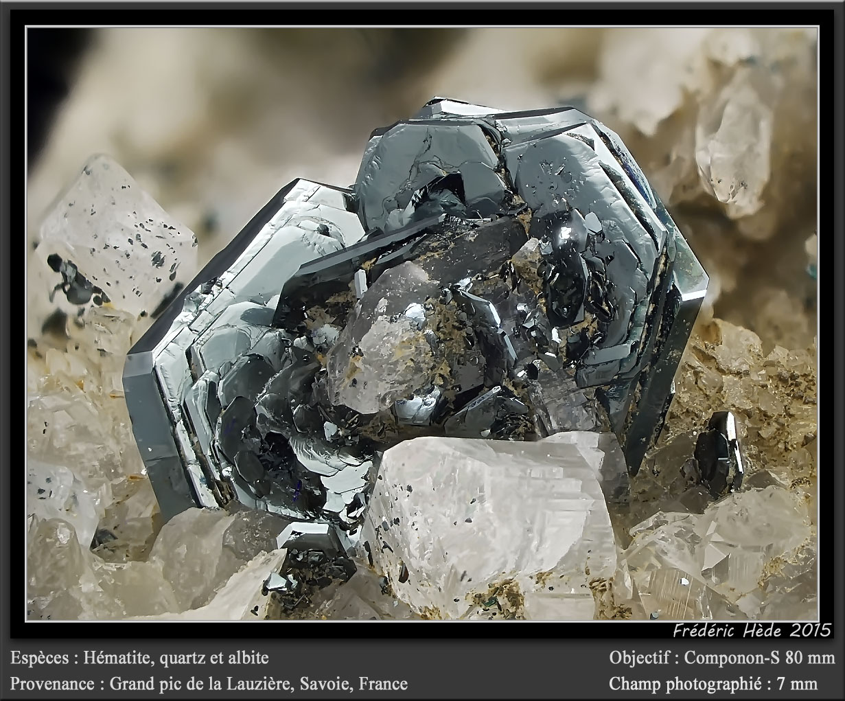 Hematite, Quartz and Albite
fov 7 mm
(Autor: ploum)