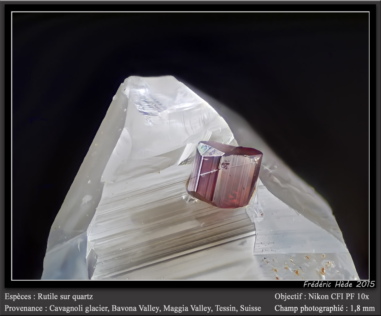 Rutile on Quartz
fov 1.8 mm
(Autor: ploum)
