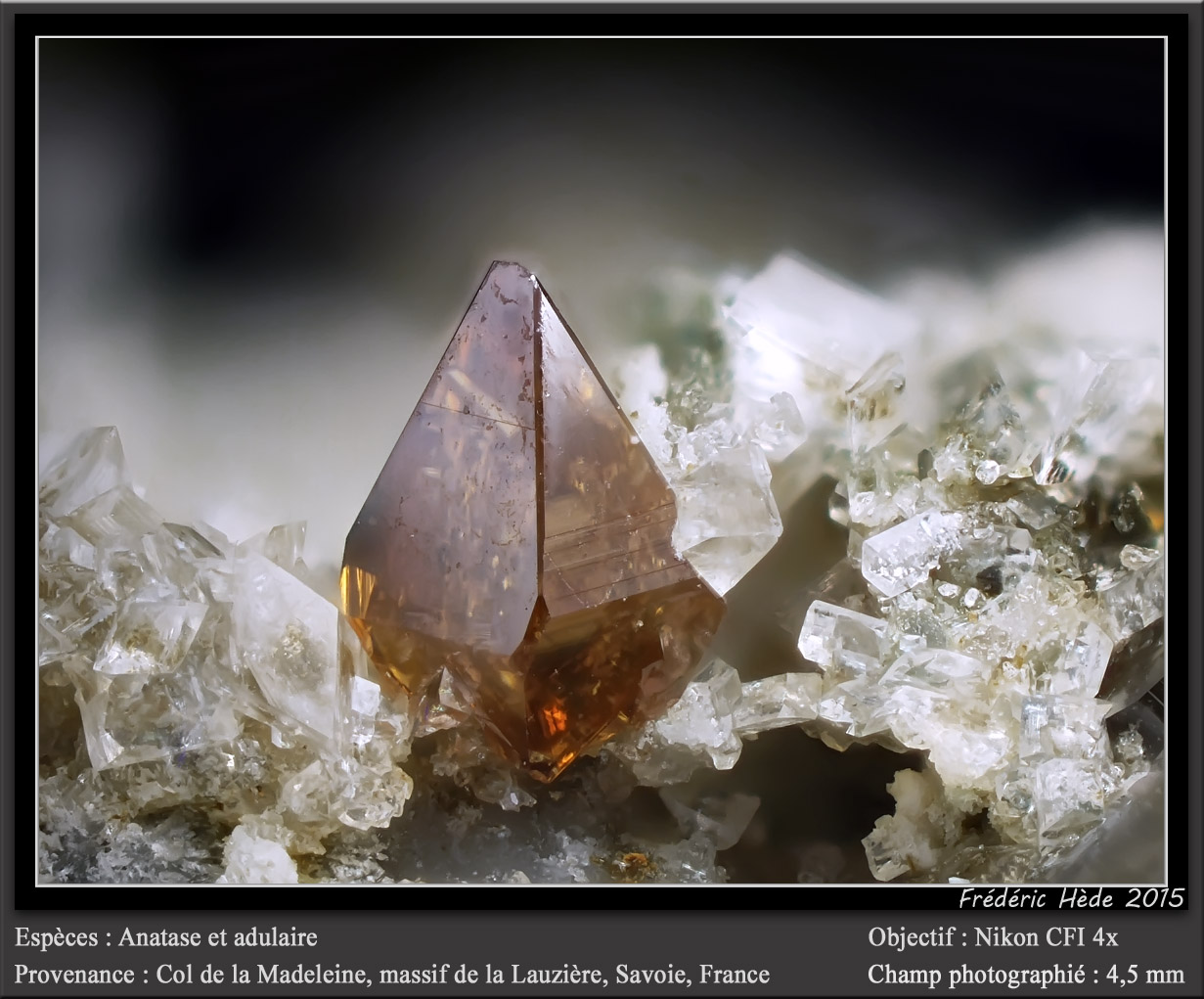Anatase on Adularia
fov 4.5 mm
(Autor: ploum)