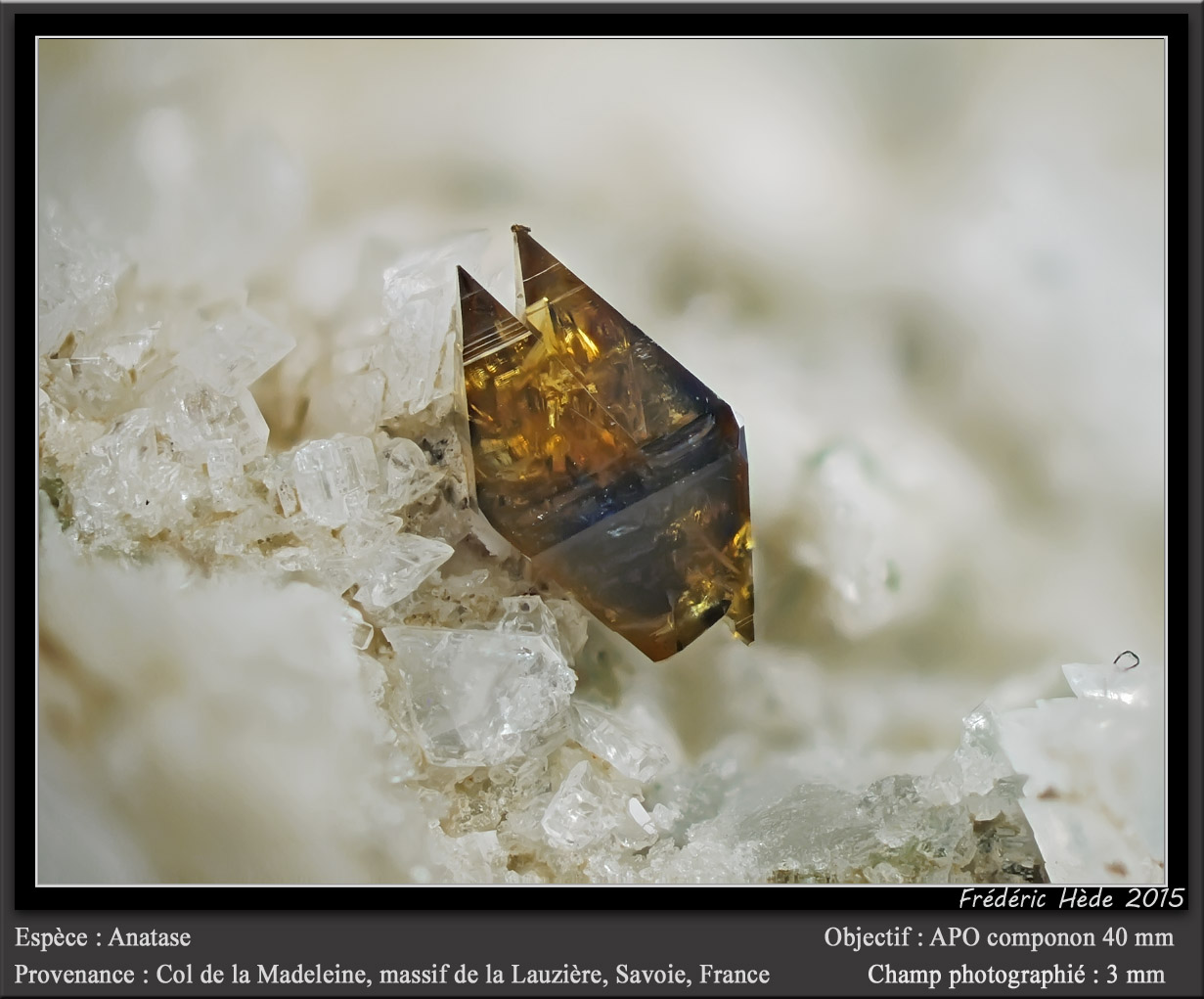 Anatase
fov 3 mm
(Autor: ploum)