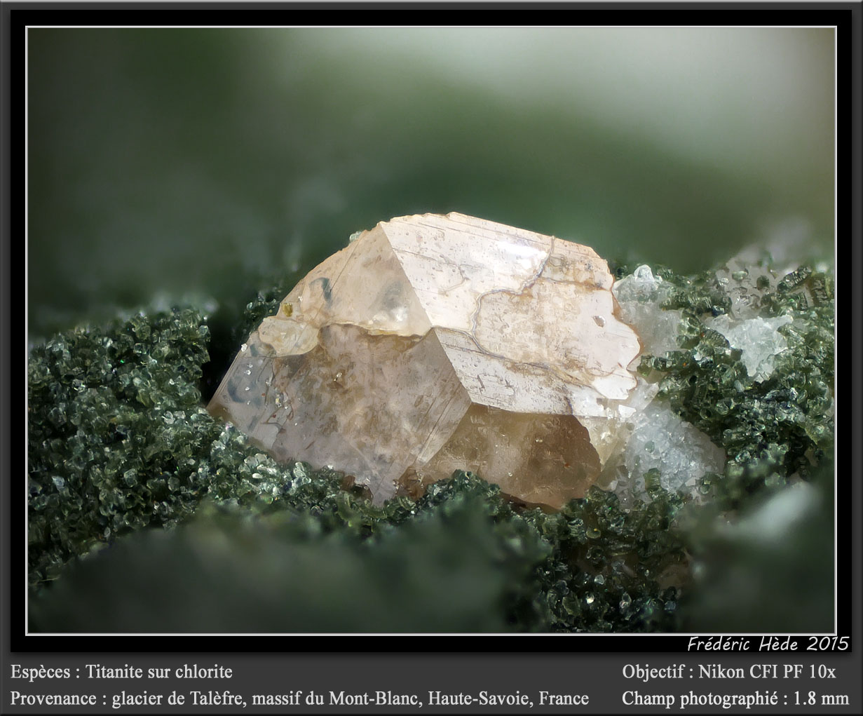 Titanite with Chlorite
fov 1.8 mm
(Autor: ploum)