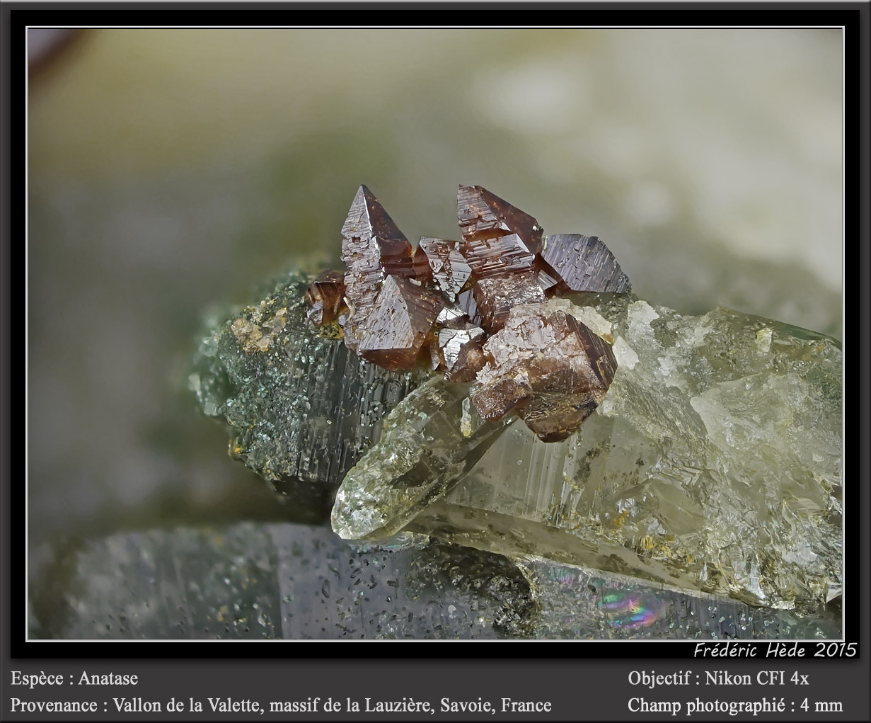 Anatase on Quartz
fov 4 mm
(Autor: ploum)