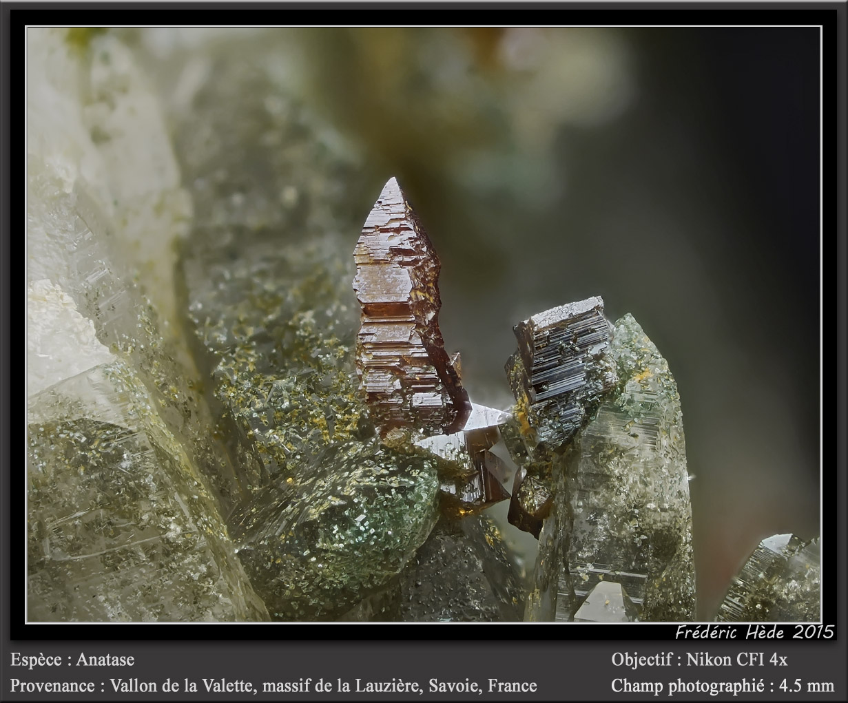 Anatase on Quartz
fov 4.5 mm
(Autor: ploum)