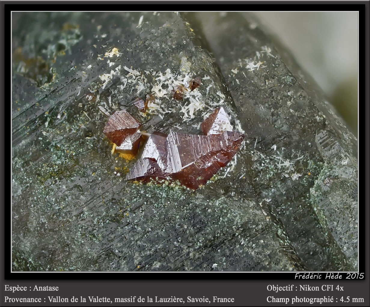 Anatase on Quartz
fov 4.5 mm
(Autor: ploum)