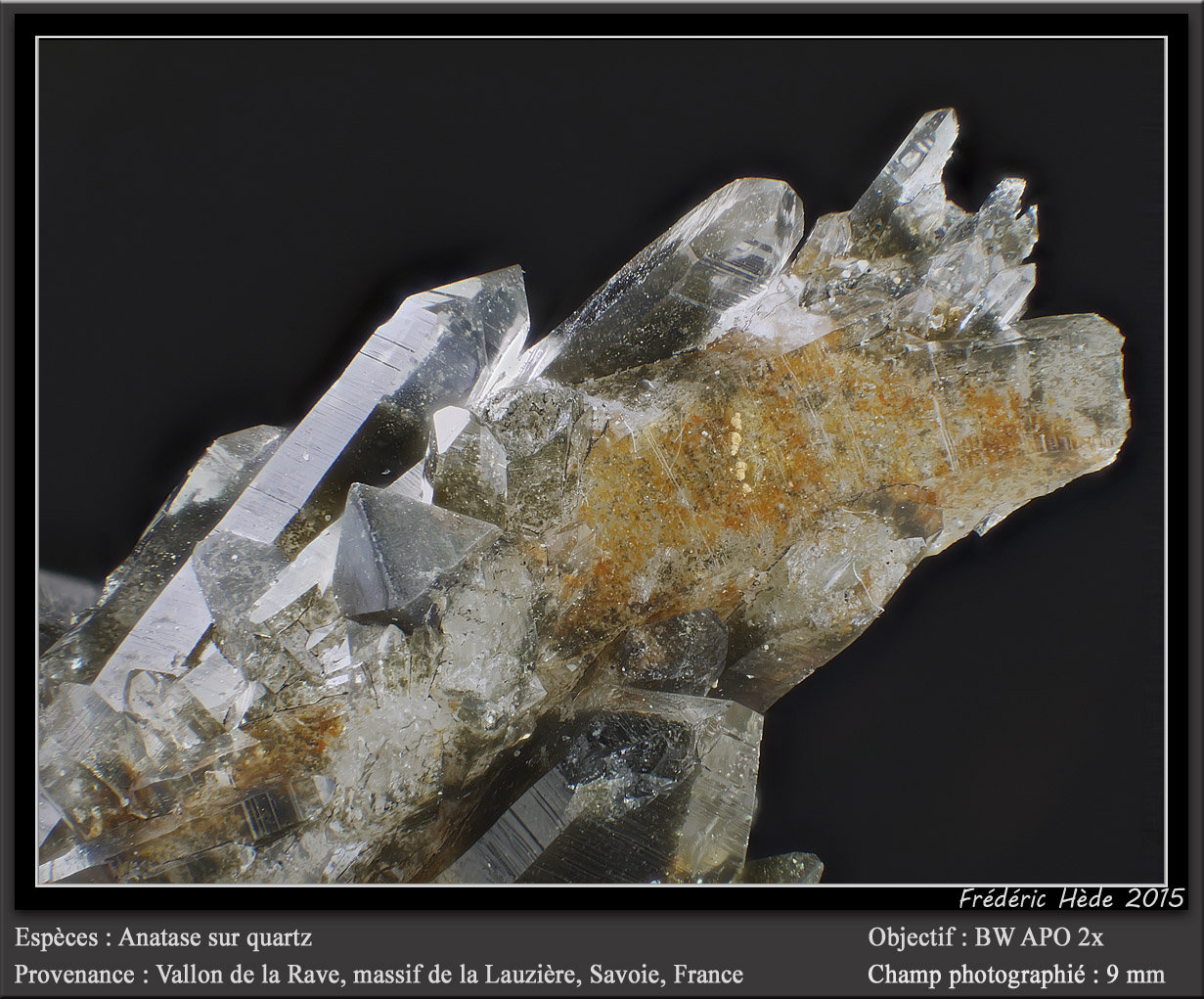 Anatase on Quartz
fov 9 mm
(Autor: ploum)