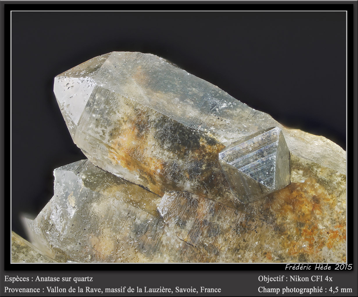 Anatase on Quartz
fiov 4.5 mm
(Autor: ploum)