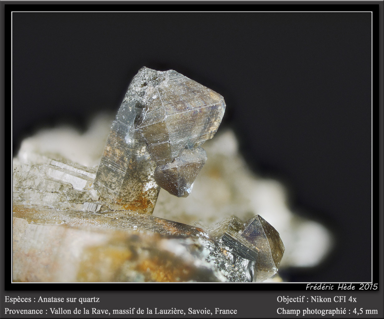Anatase on Quartz
fov 4.5 mm
(Autor: ploum)