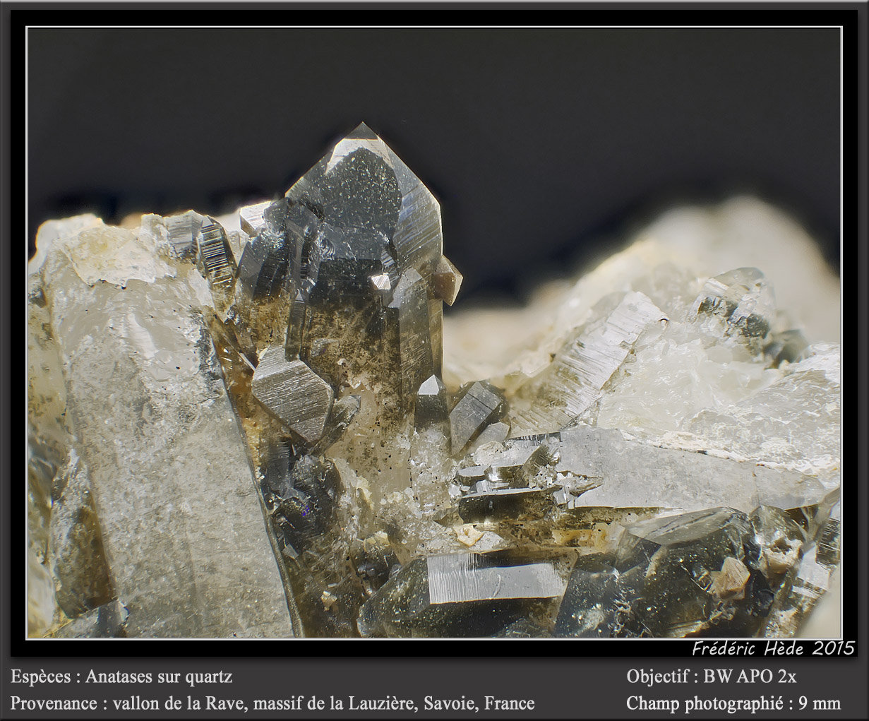 Anatase on Quartz
fov 9 mm
(Autor: ploum)