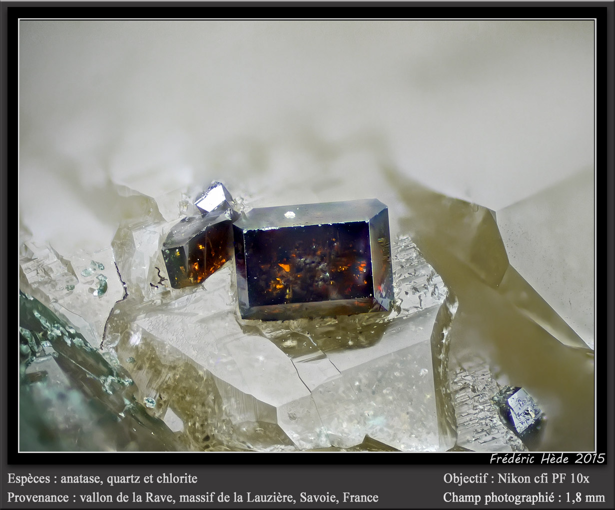Anatase on Quartz with Chlorite
fov 1.8 mm
(Autor: ploum)