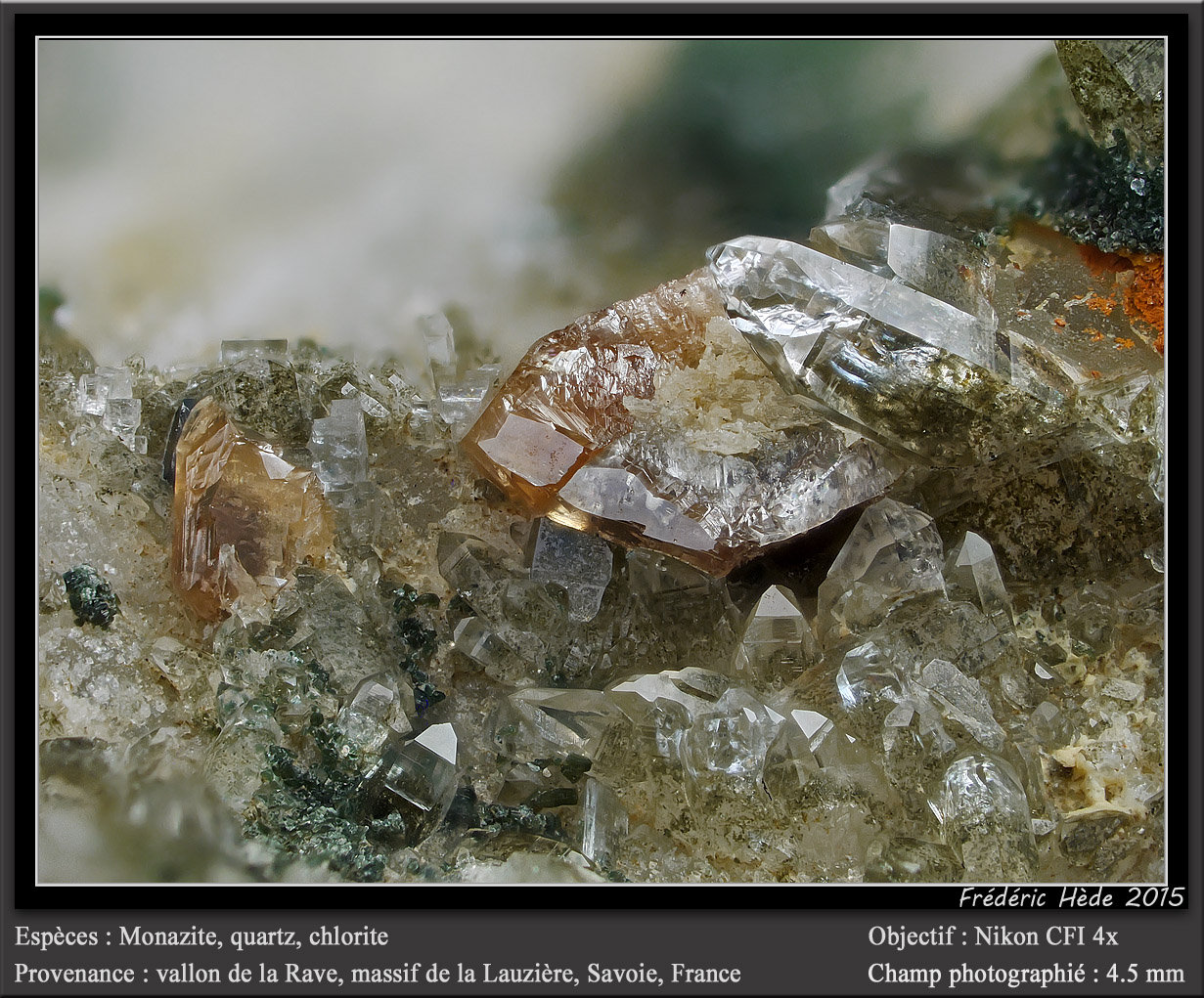 Monazite, Quartz and Chlorite
fov 4.5 mm
(Autor: ploum)