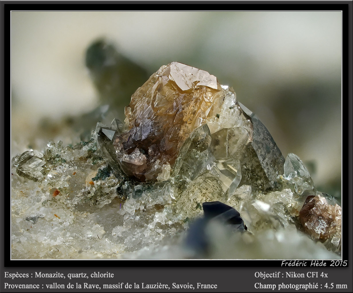 Monazite, Quartz and Chlorite
fov 4.5 mm
(Autor: ploum)