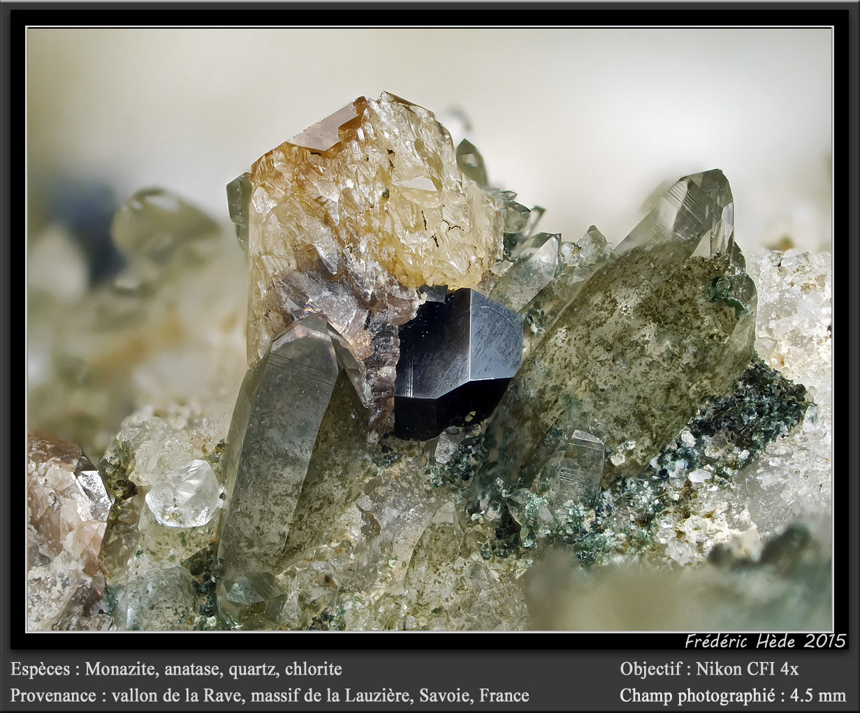 Monazite, Anatase, Quartz and Chlorite
fov 4.5 mm
(Autor: ploum)