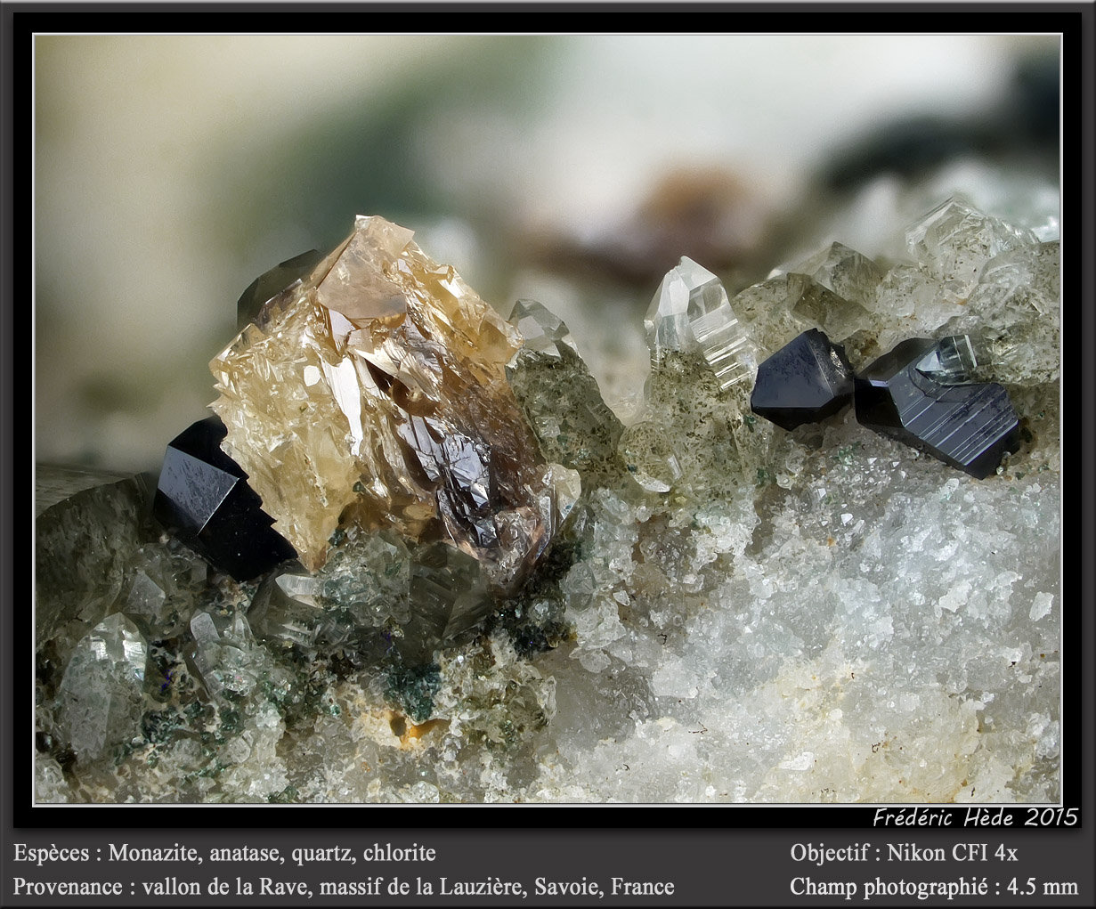 Monazite, Anatase, Quartz and Chlorite
fov 4.5 mm
(Autor: ploum)