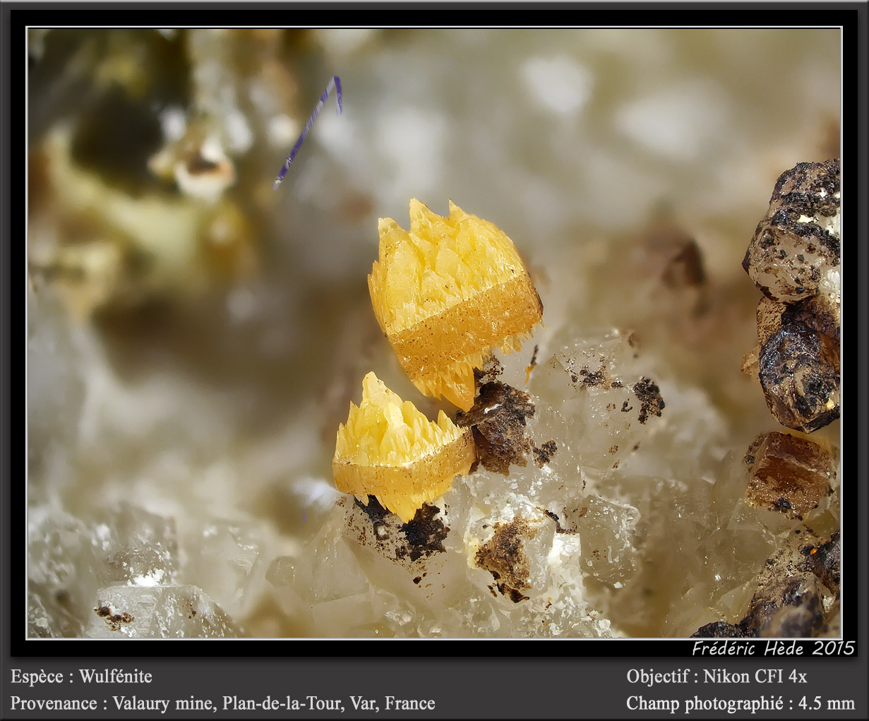 Wulfenite
fov 4.5 mm
(Autor: ploum)
