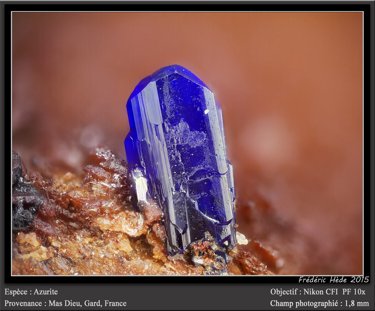 Azurite
fov 1.8 mm
(Autor: ploum)