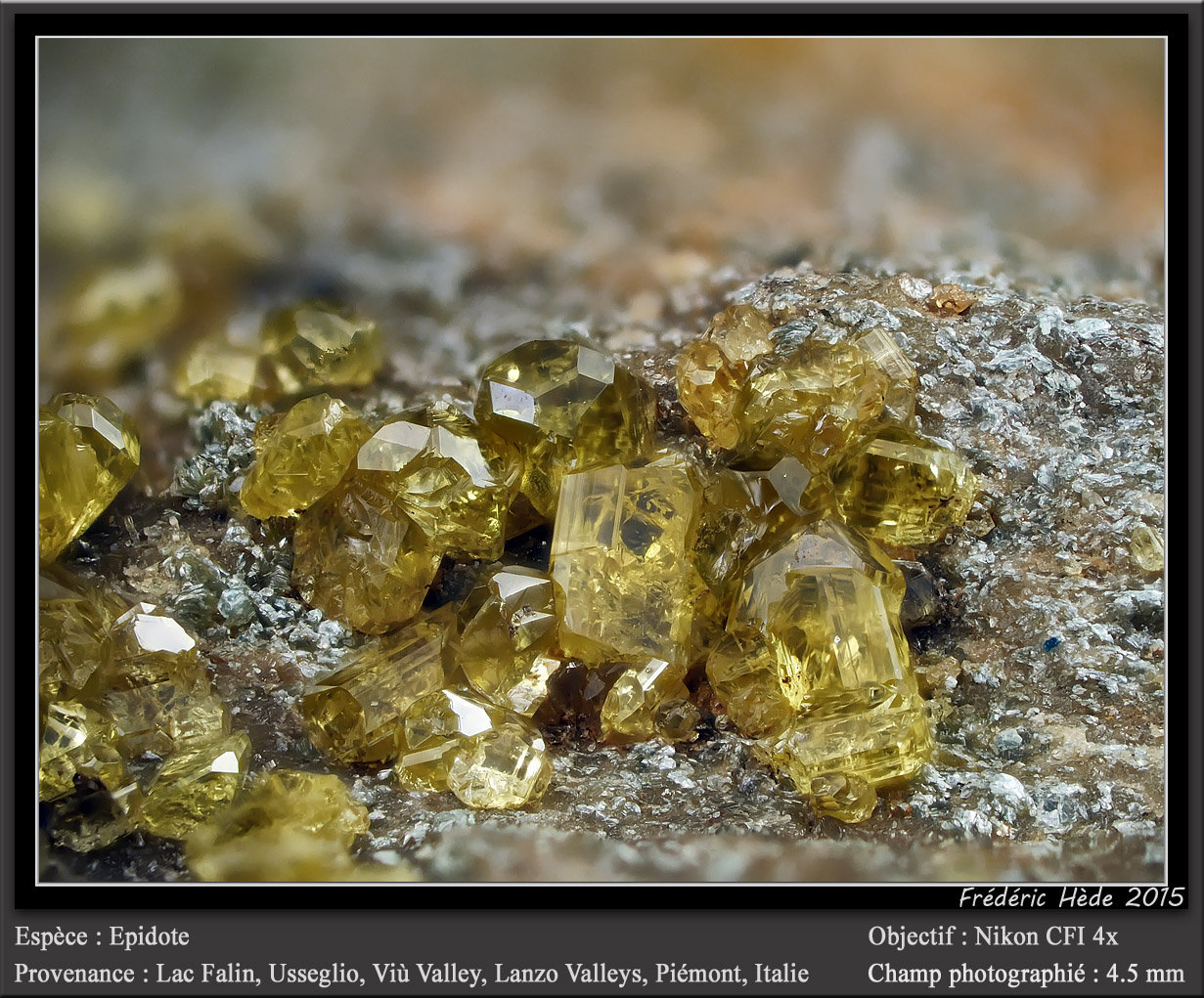 Epidote
Fov 4.5 mm
(Autor: ploum)
