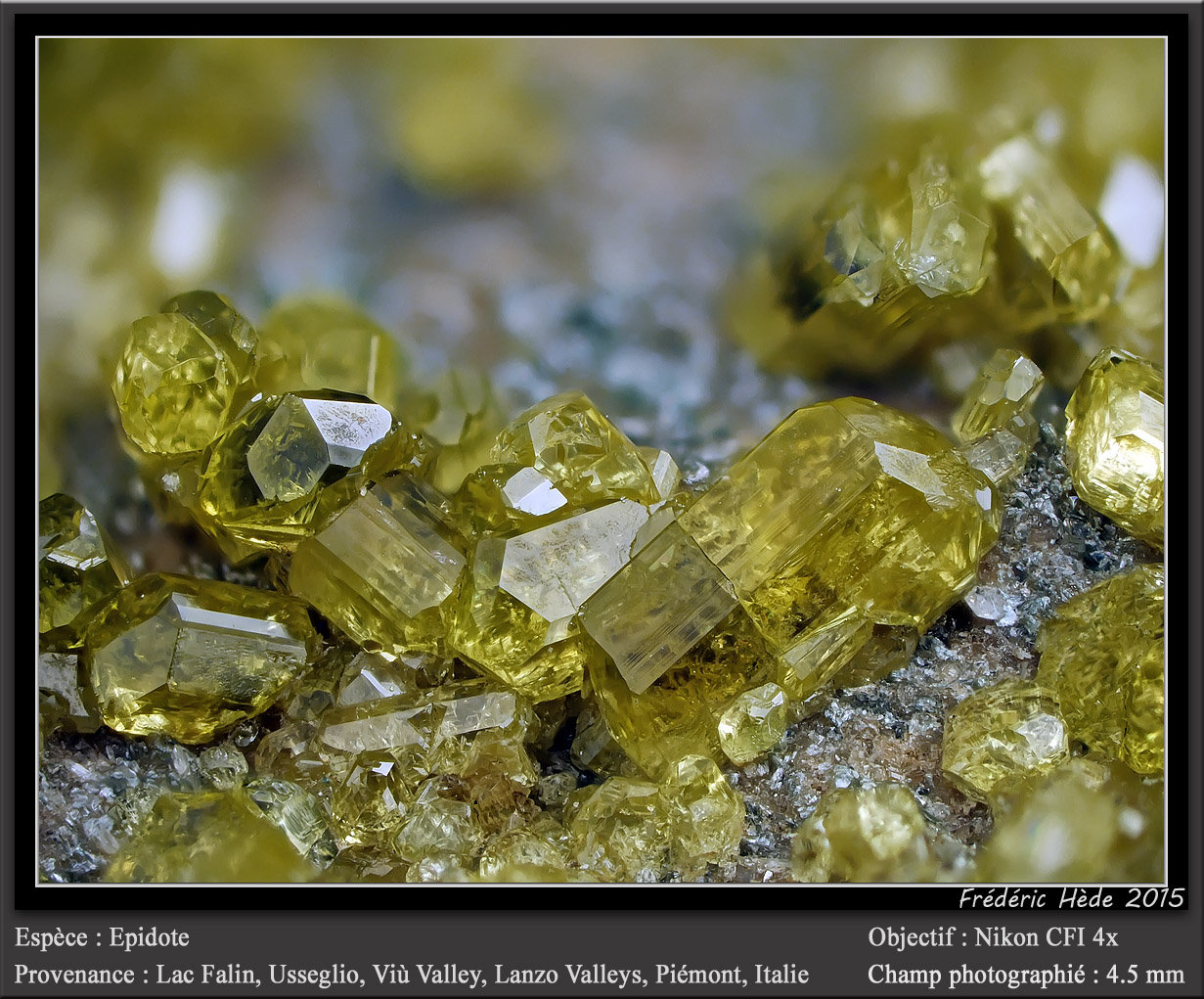 Epidote
fov 4.5 mm
(Autor: ploum)