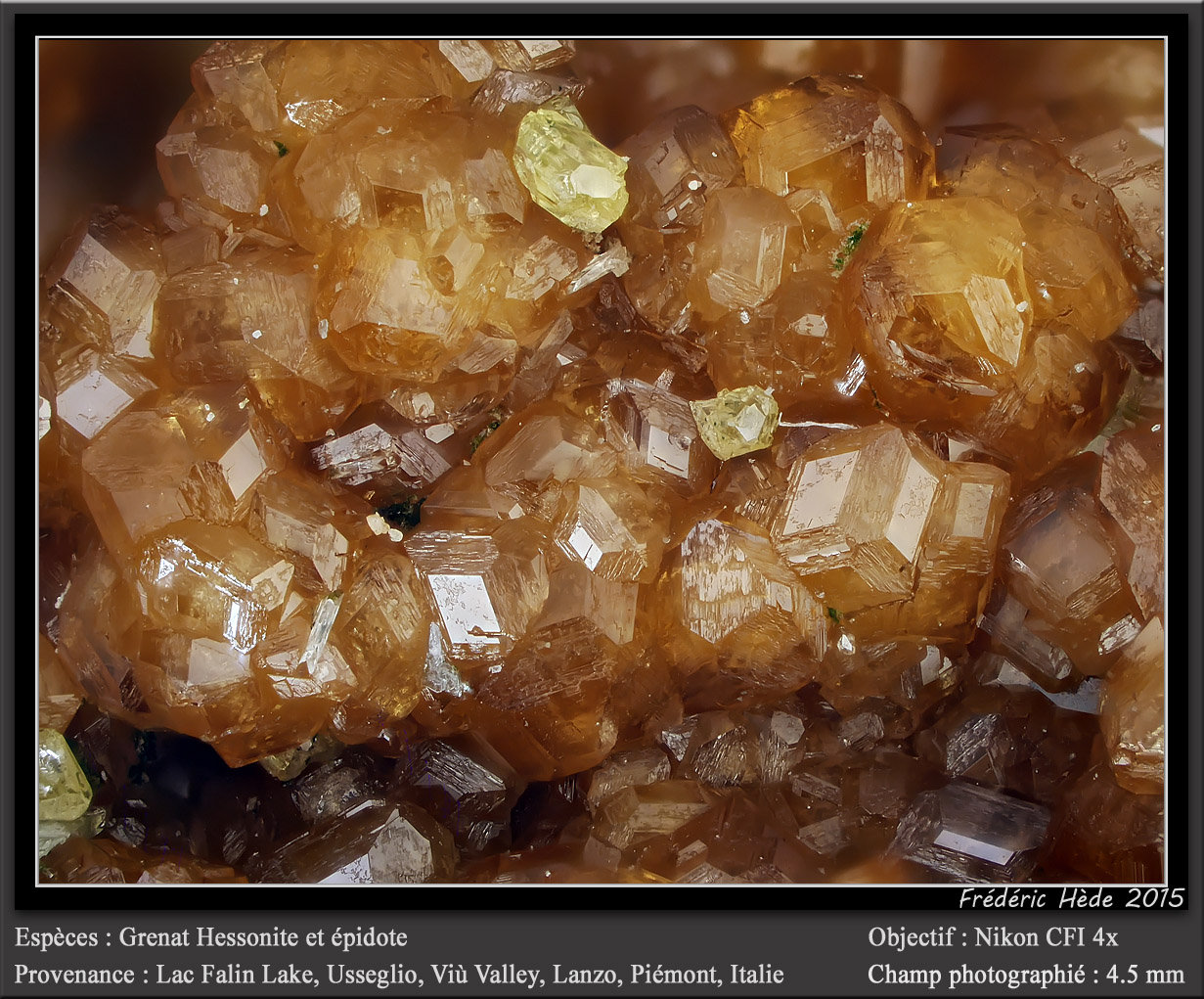 Grossular variety hessonite (Garnet Group)
fov 4.5 mm
(Autor: ploum)