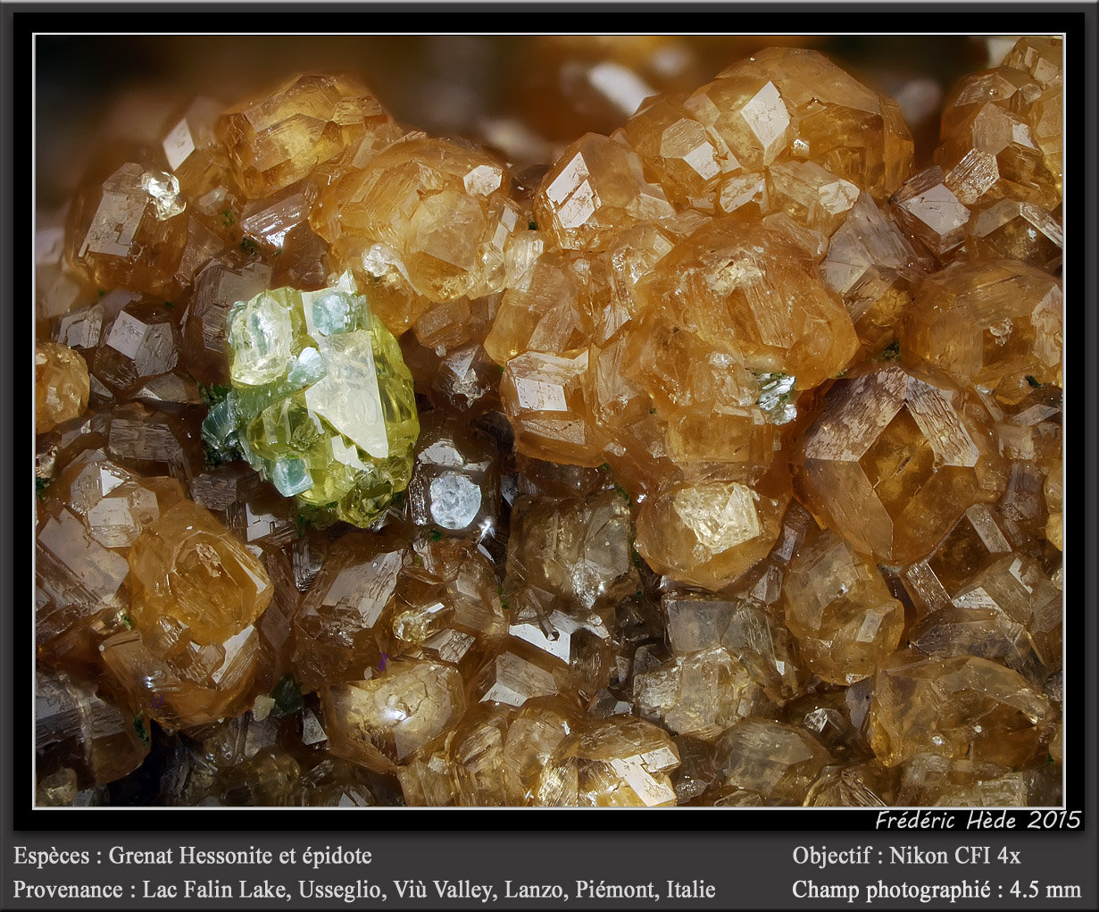 Grossular variety hessonite (Garnet Group) and Epidote
fov 4.5 mm
(Autor: ploum)