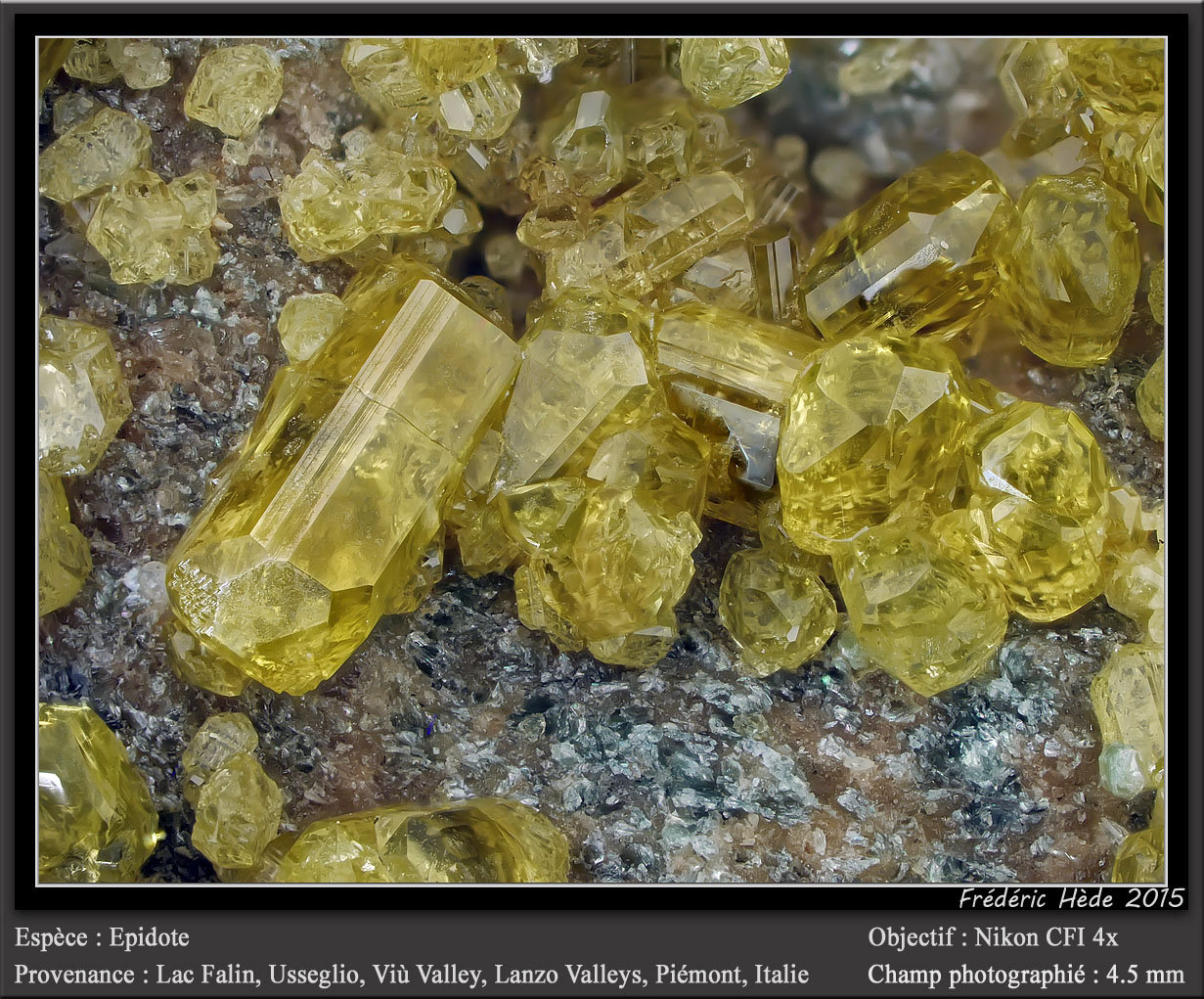 Epidote
fov 4.5 mm
(Autor: ploum)
