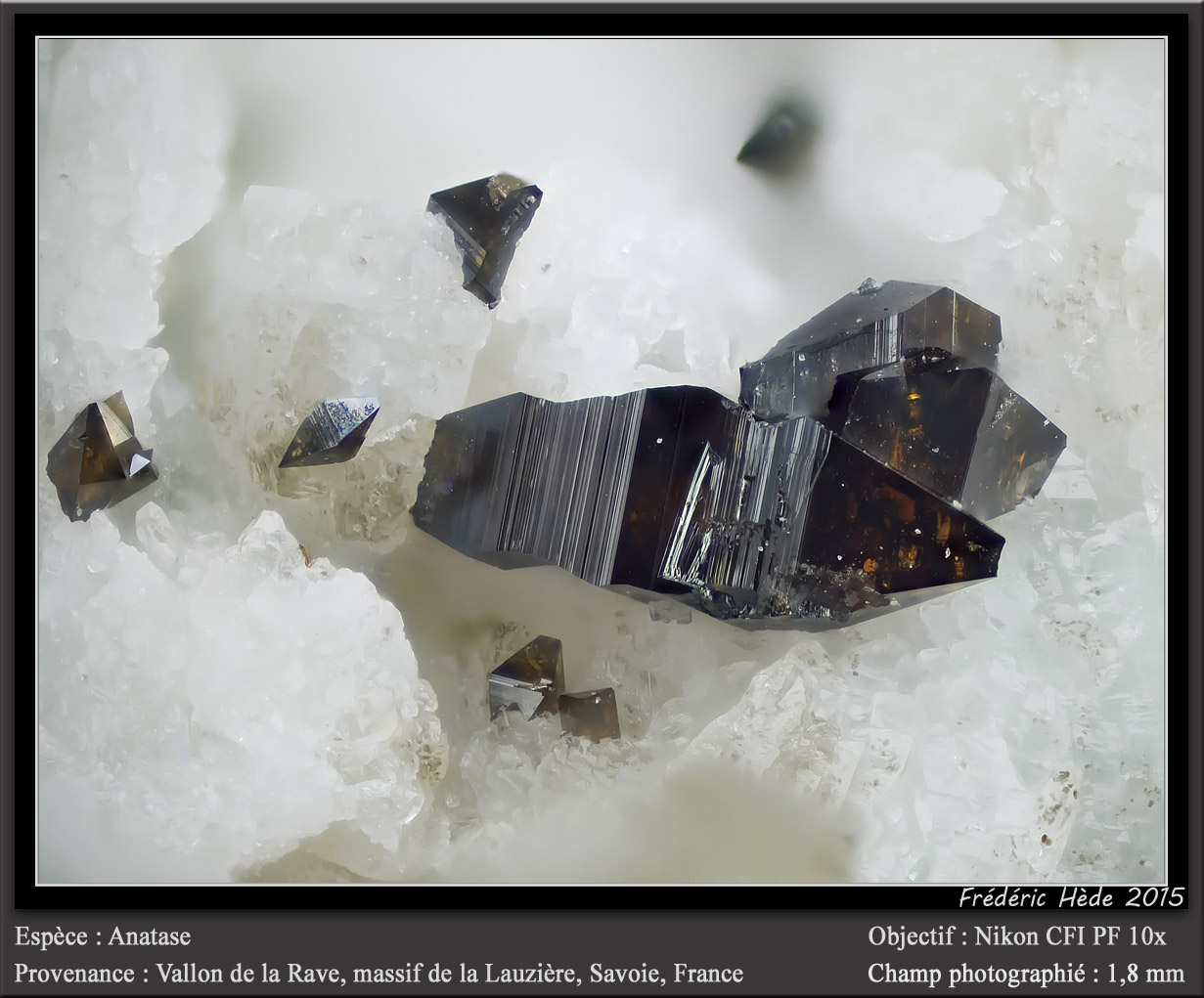 Anatase
fov 1.8 mm
(Autor: ploum)